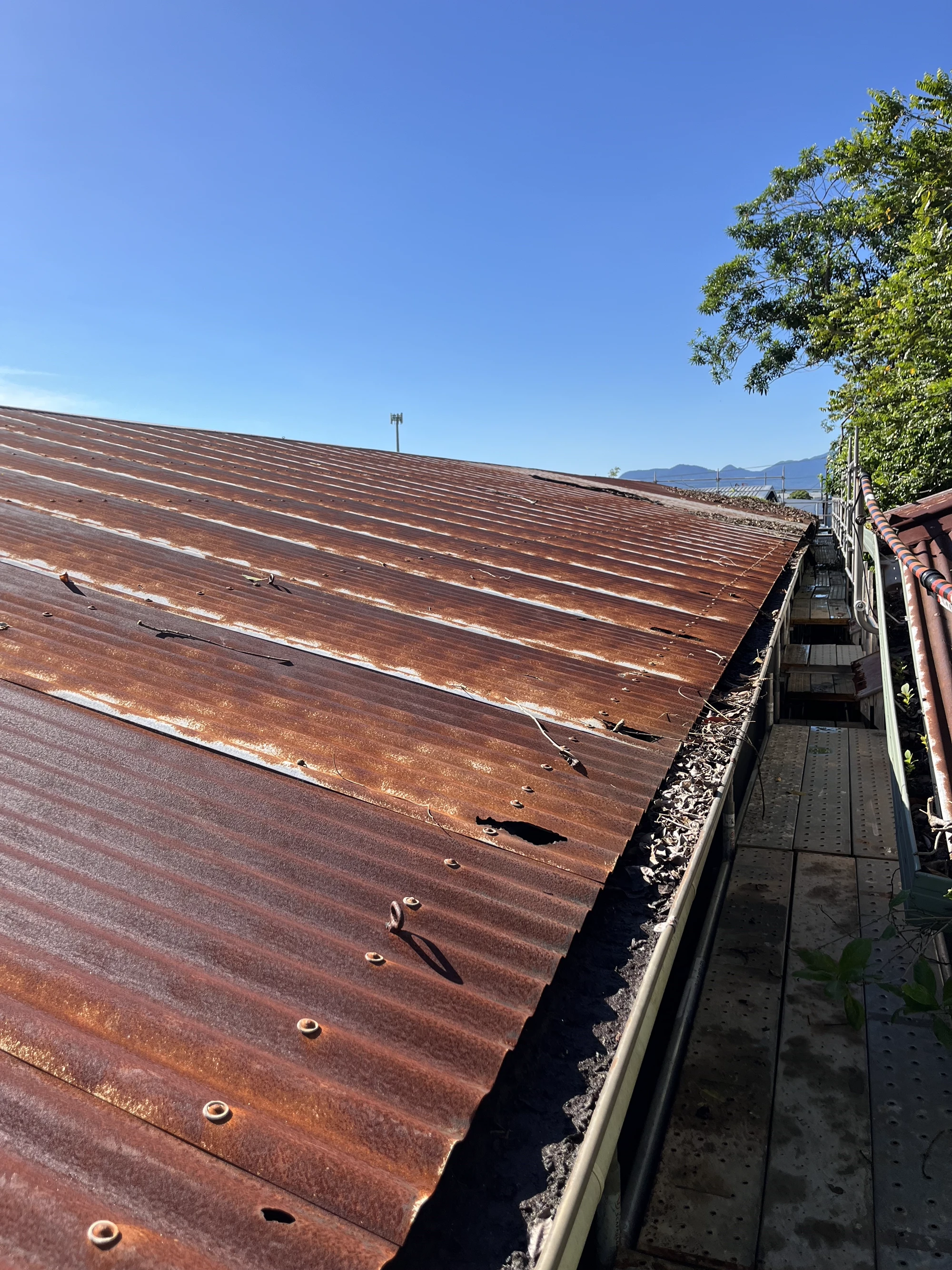 Cairns Hardware - Old roof before replacement
